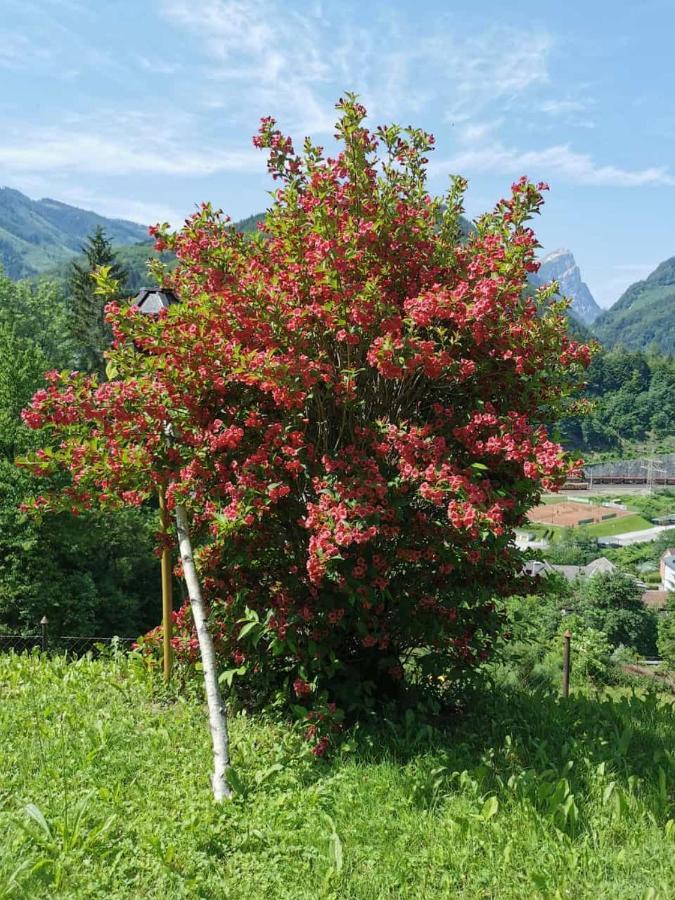 Ferienwohnung Im Nationalpark Gesaeuse Hieflau Bagian luar foto