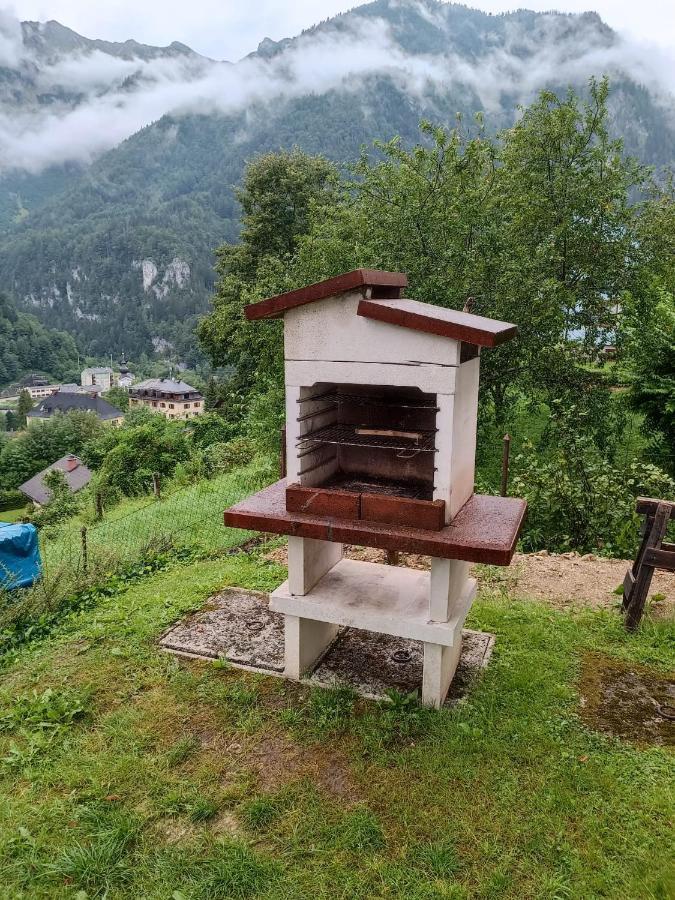 Ferienwohnung Im Nationalpark Gesaeuse Hieflau Bagian luar foto